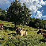 Garda View For Groups 4br, 3 Baths, Garden & Bbq Villa San Zeno di Montagna
