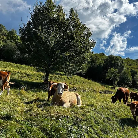 Garda View For Groups 4br, 3 Baths, Garden & Bbq Villa San Zeno di Montagna